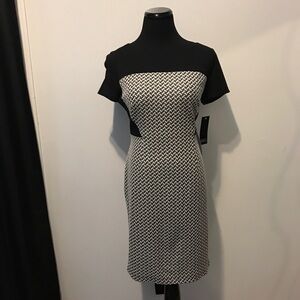 Adrianna Papell Dress Size 8P